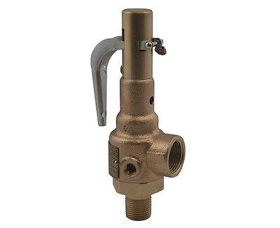 1/2" Male x 1/2" Female, Compact ASME Steam Safety Valve, Set 15 PSIG